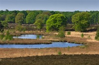 Nationaal Park De Maasduinen te Welerlooi