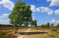 Westerveld - Gooi
