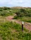 Eijerlandse Duinen