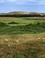 Eijerlandse Duinen