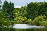 Natuurpark Lelystad