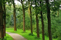 Natuurpark Lelystad