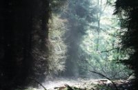 Donker en licht