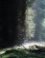 Donker en licht