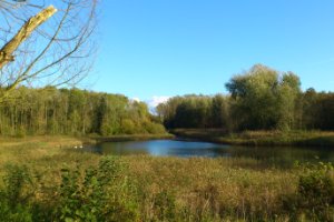Herfst