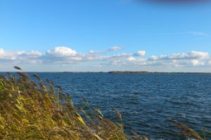 Blauw
