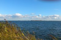 Blauw