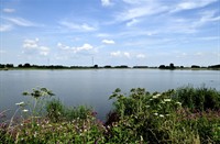 Biesbosch