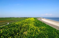 Texel - Lanchesterdijk