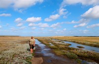 Natuurgebied De Slufter - Texel - Bij hoogwater blote voeten aangeraden:)