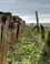 Oosterschelde