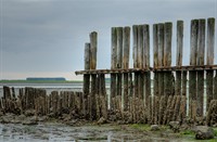 Oosterschelde