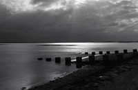 Schelphoek