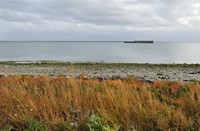 Schelphoek
