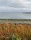 Schelphoek