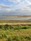 Natuurontwikkelingsgebied Prunjepolder