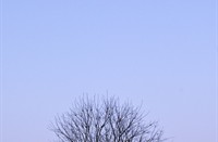 Waterleidingduinen