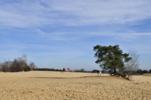 kootwijkerzand