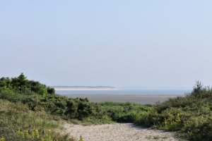 Slikken van Voorne