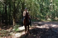 Petra met haar paard, Het Staelduinse Bos