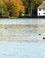 Kralingse plas