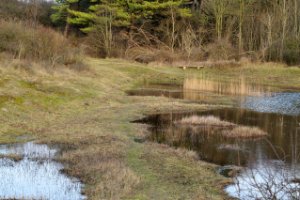 Natuurgebied Breede Water in de Duinen van Voorne