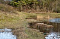 Natuurgebied Breede Water in de Duinen van Voorne