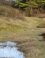 Natuurgebied Breede Water in de Duinen van Voorne