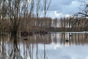 Natuurgebied De Ruigte