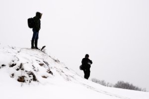 Nationaal Park Loonse en Drunense Duinen