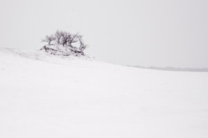 Nationaal Park Loonse en Drunense Duinen