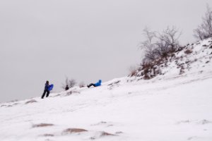 Nationaal Park Loonse en Drunense Duinen