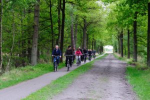 Kampina - Brabant