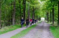 Kampina - Brabant