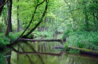 Kampina - Brabant