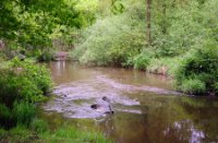 Kampina - Brabant