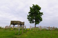 Kampina - Brabant
