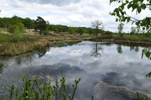 De Meinweg - Limburg