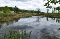 De Meinweg - Limburg