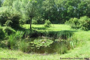 Baardwijkse Overlaat
