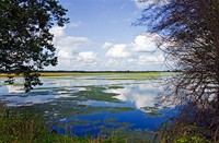 Brabantse Biesbosch vogelreservaat 
