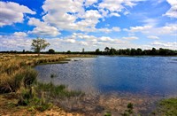 landschap