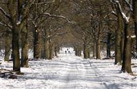 Hoge Veluwe