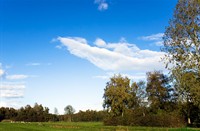 landschap