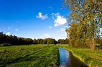landschap