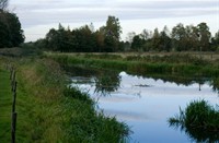 landschap