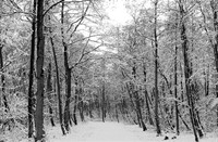 sneeuw