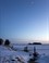landschap winter