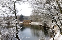 Landschap - winter
