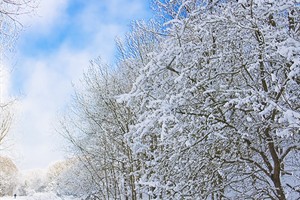 Landschap - winter